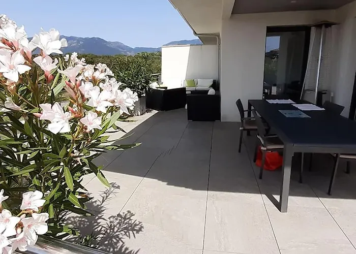 Dernier Etage Avec Privatif Sur Grande Terrasse Appartement