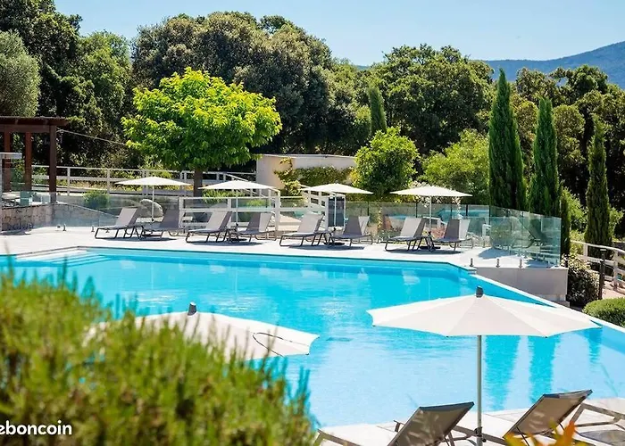 Dernier Etage Avec Privatif Sur Grande Terrasse Appartement